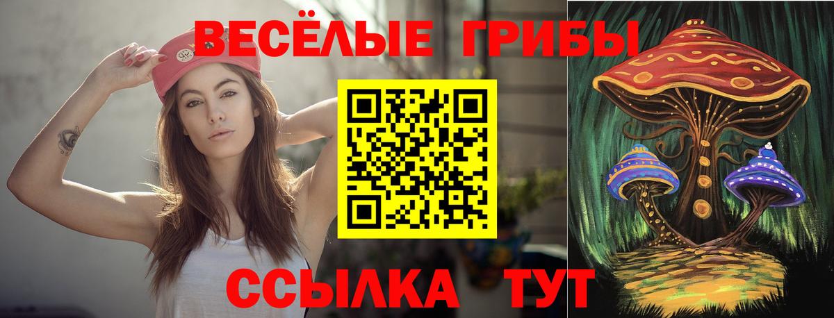 Борисоглебск  Галлюциногенные грибы Psilocybe  Вход с VPN  Псилоцибиновые грибы прущие грибы 